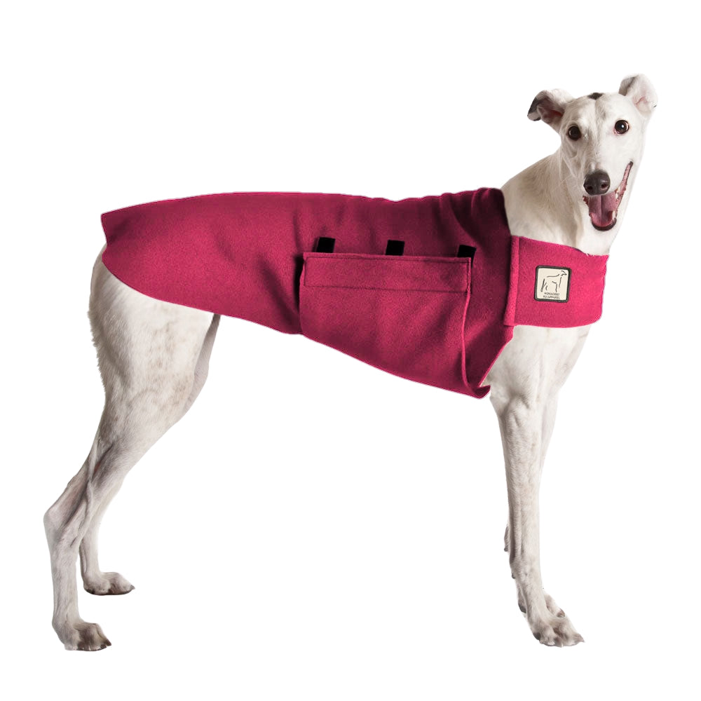 Greyhound Tummy Warmer