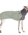 Greyhound Winter Coat