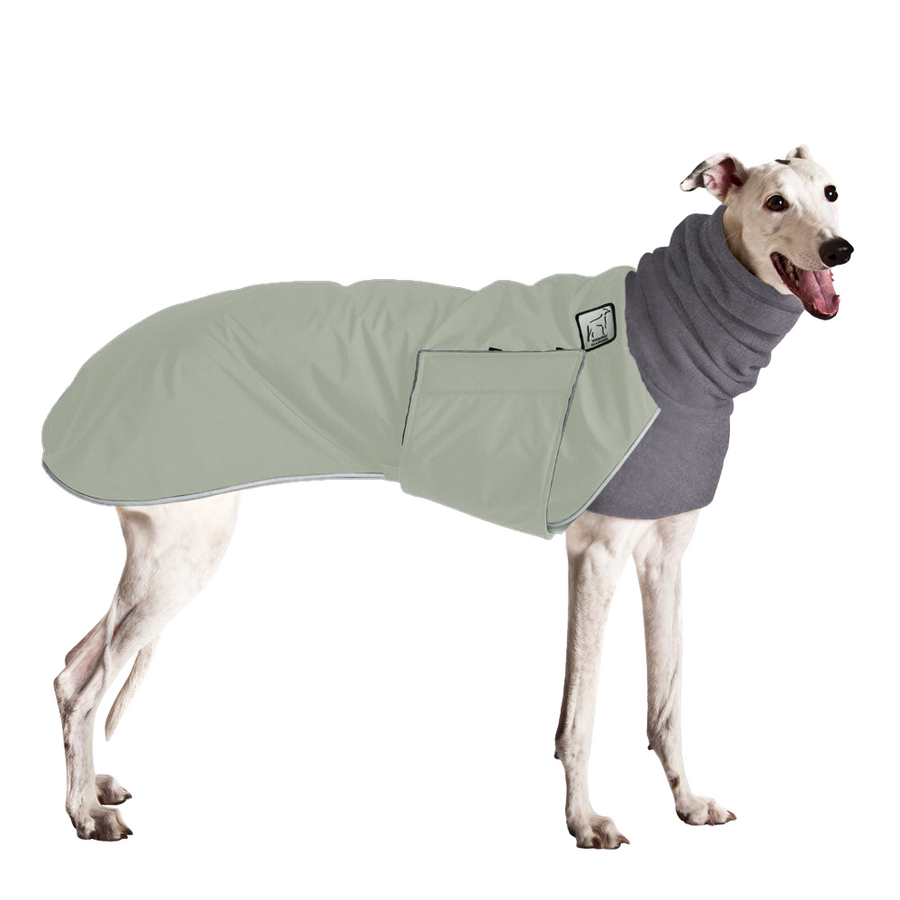 Greyhound Winter Coat