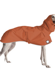 Greyhound Raincoat