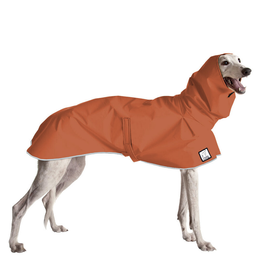 Greyhound Raincoat