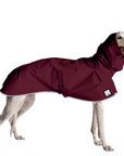 Greyhound Raincoat