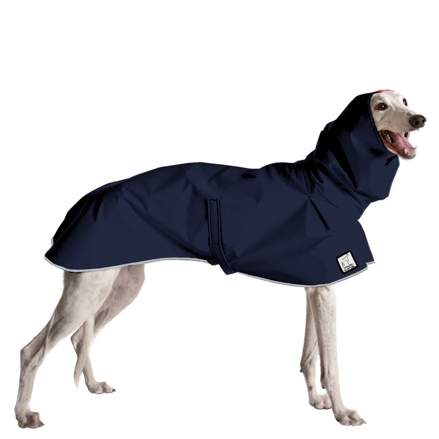 Jas voor windhond (Saluki) DG Soft Shell Outoor - Hondenblog Jas voor windhond (Saluki) DG Soft Shell Outoor - Hondenblog