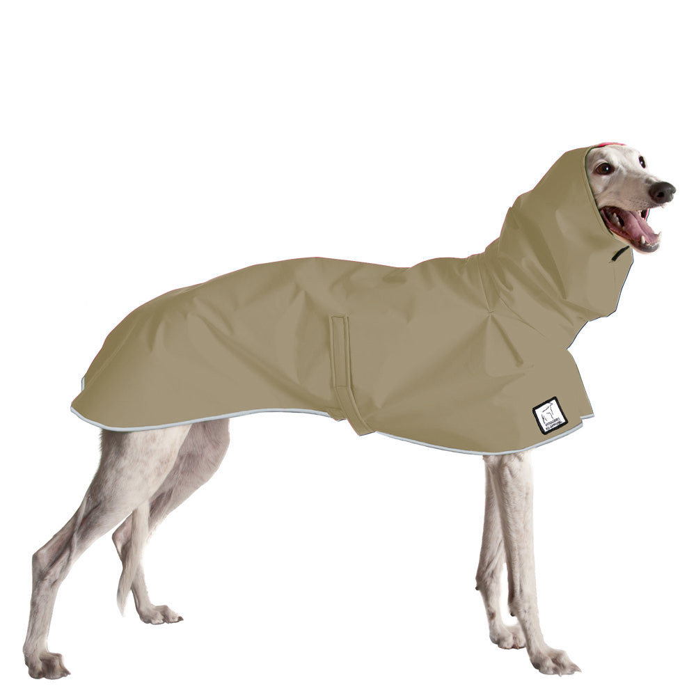 Greyhound Raincoat