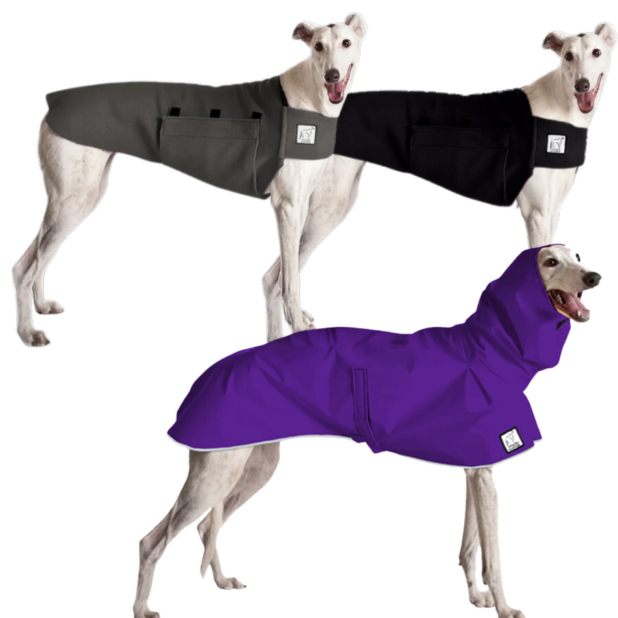 Greyhound Wanderer Bundle