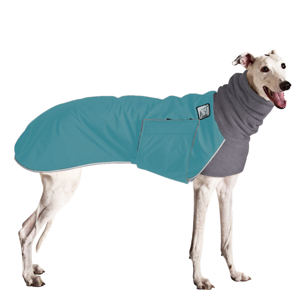 Greyhound Winter Coat