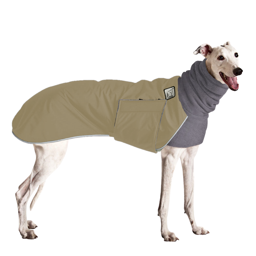 Greyhound Winter Coat