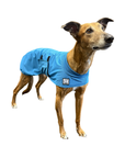 Greyhound Cooling Coat