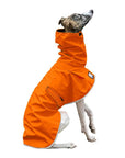 ReCoat ♻️ Whippet Raincoat