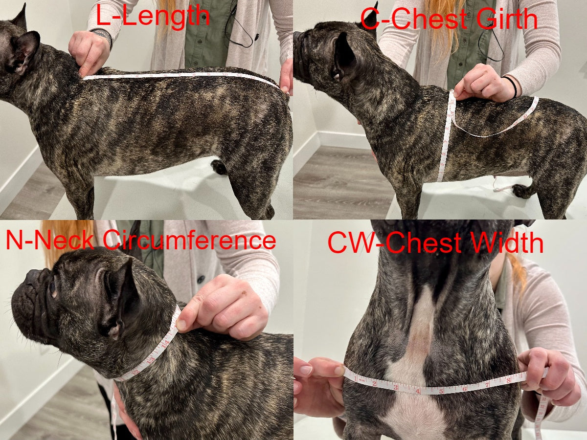 Made to Measure Dog Tummy Warmer