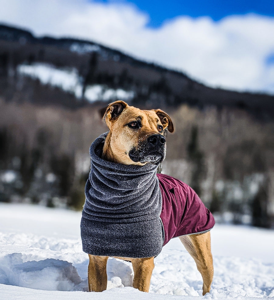 Breed-Specific Dog Winter Coats | Voyagers K9 Apparel Breed-Specific Dog Winter Coats | Voyagers K9 Apparel