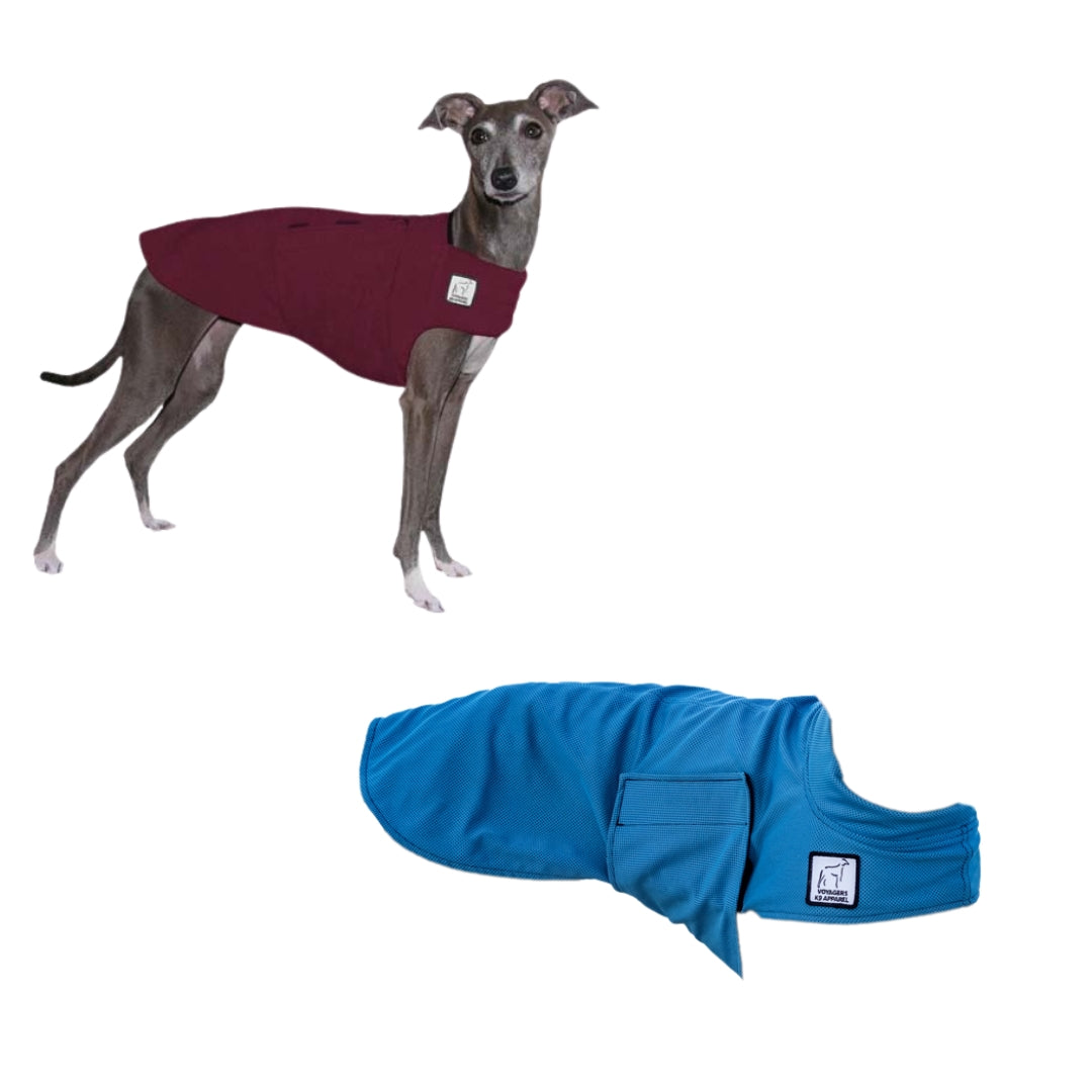 Italian Greyhound Hiker Bundle