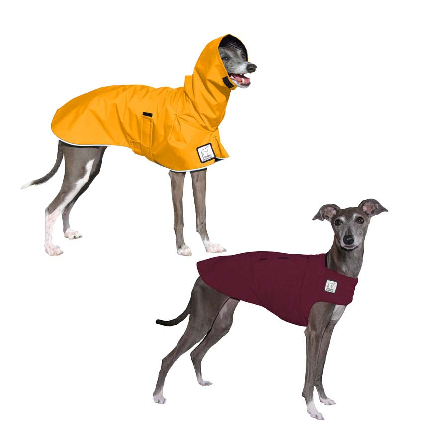 Italian Greyhound Camper Bundle