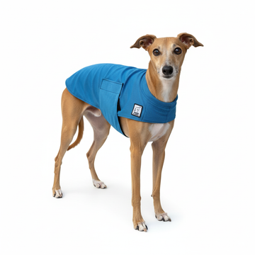 Italian Greyhound Cooling Coat