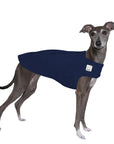 Italian Greyhound Tummy Warmer