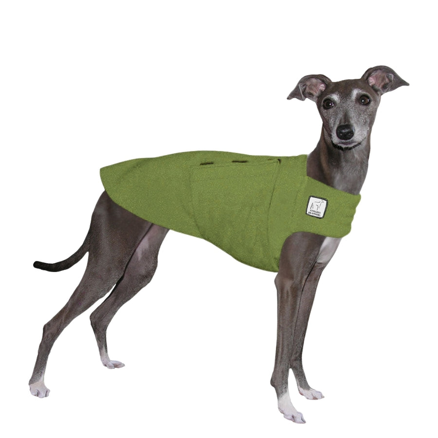 Italian Greyhound Tummy Warmer