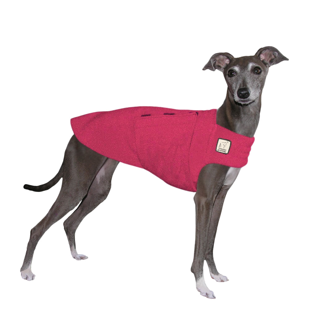 Italian Greyhound Tummy Warmer