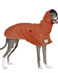 Italian Greyhound Raincoat