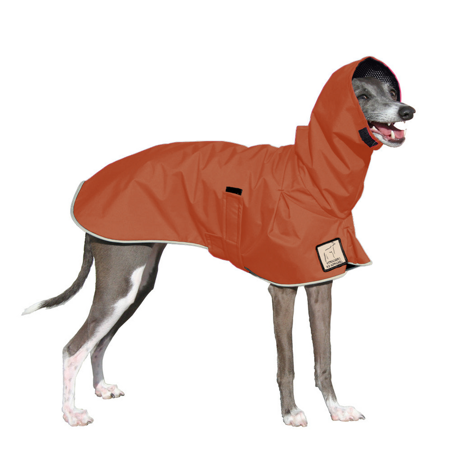 Italian Greyhound Raincoat