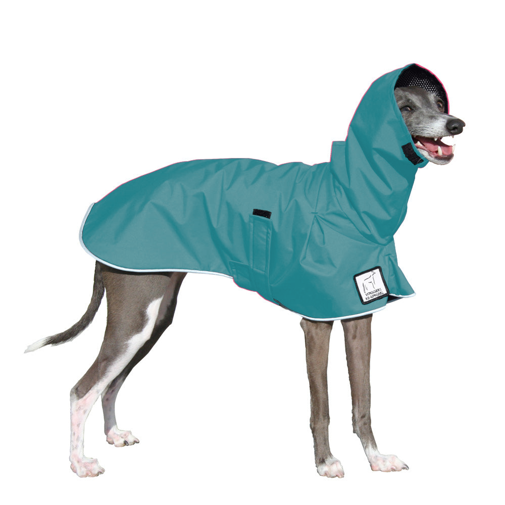 Italian Greyhound Raincoat