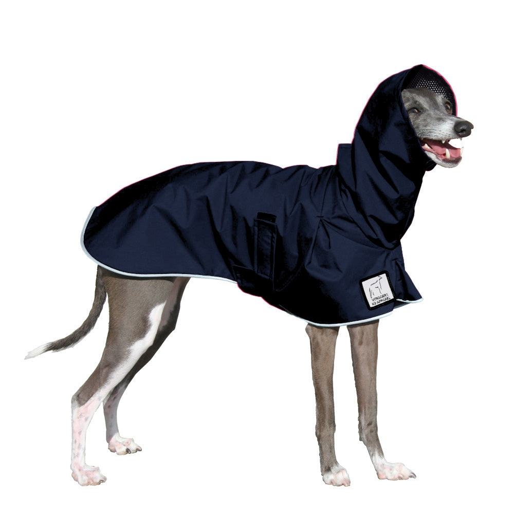 Italian Greyhound Raincoat