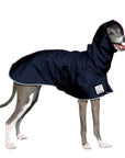 Italian Greyhound Raincoat