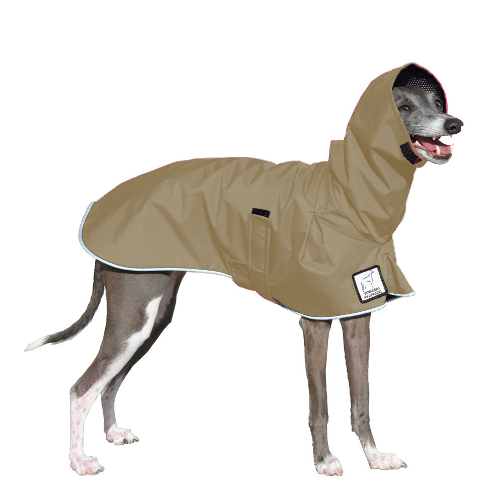 Italian Greyhound Raincoat