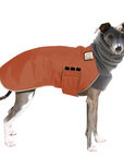 Italian Greyhound Winter Coat