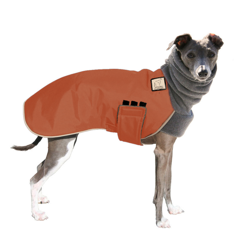 Italian Greyhound Winter Coat