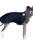 Italian Greyhound Winter Coat