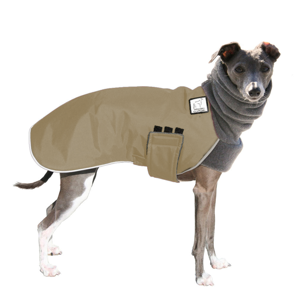 Italian Greyhound Winter Coat