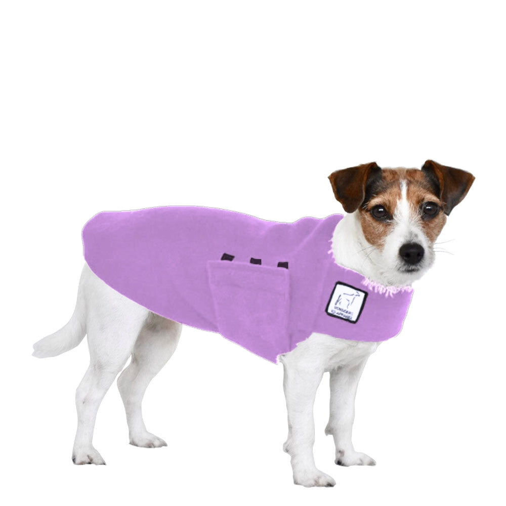 Jack Russell Terrier Tummy Warmer