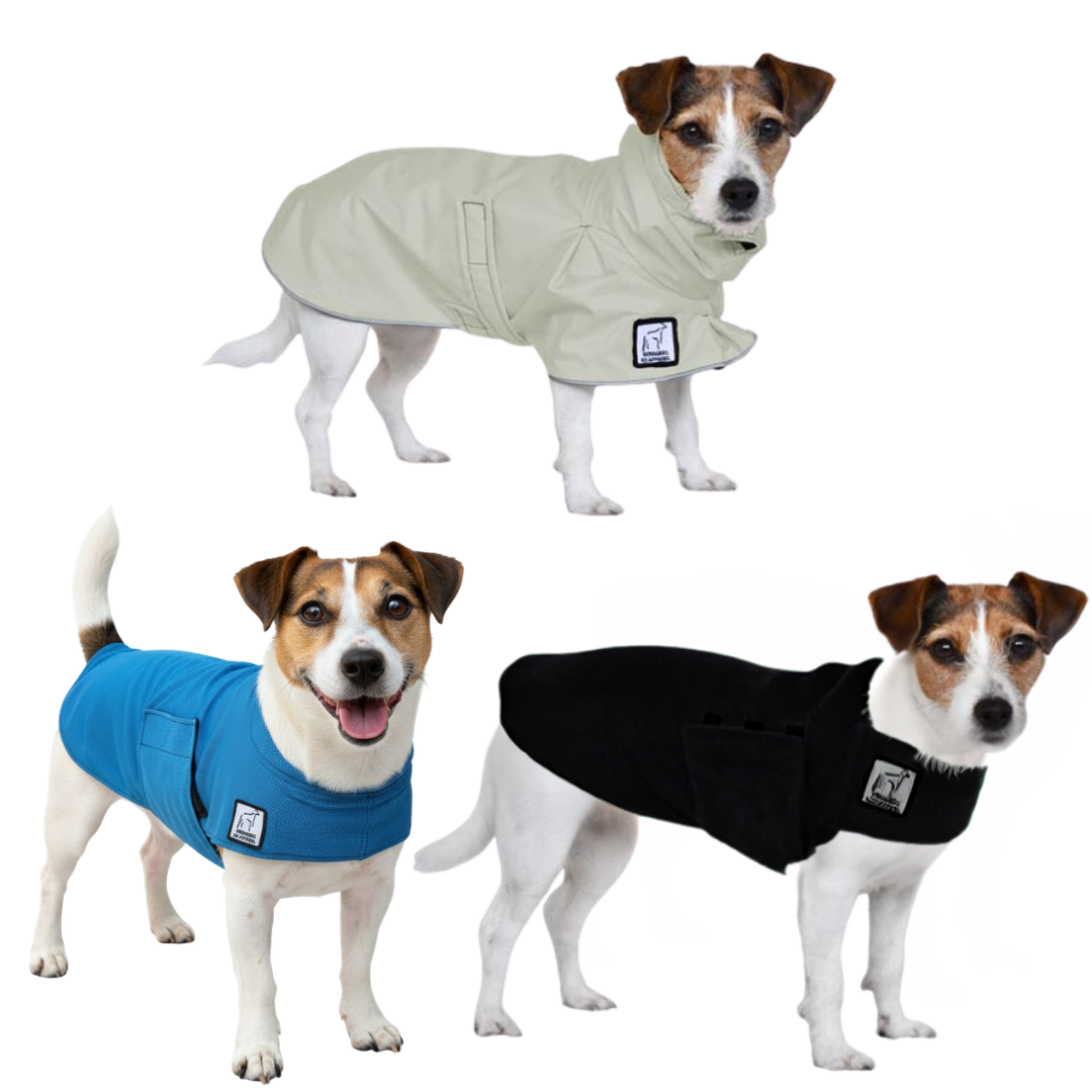 Jack Russell Terrier Nomad Bundle