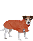 Jack Russell Terrier Raincoat