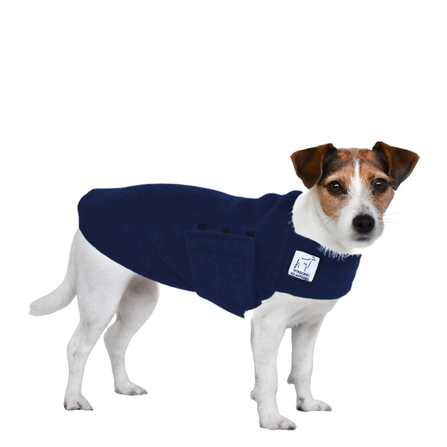 Jack Russell Terrier Tummy Warmer