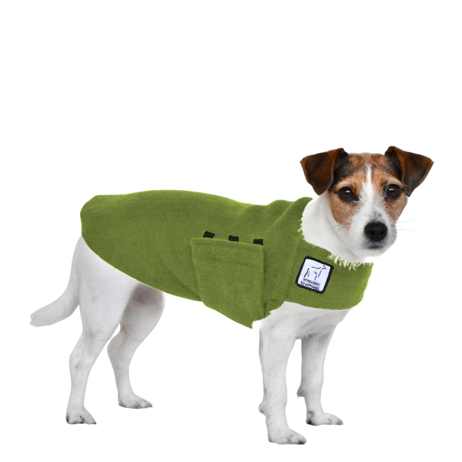 Jack Russell Terrier Tummy Warmer