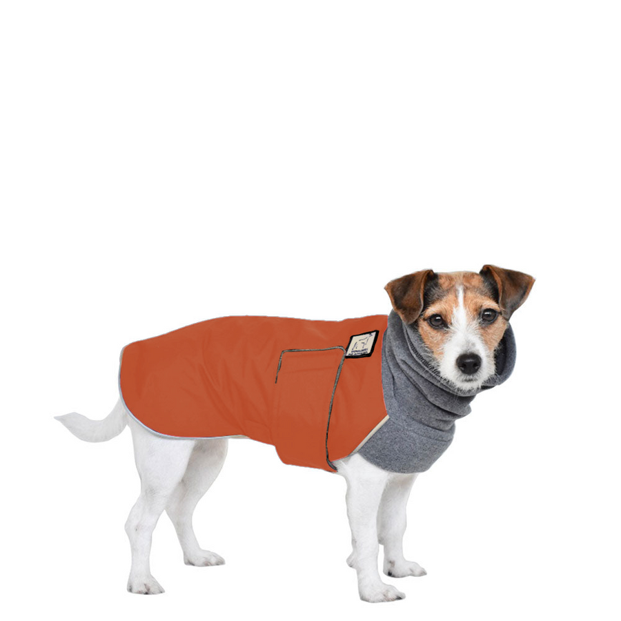 Jack Russell Terrier Winter Coat