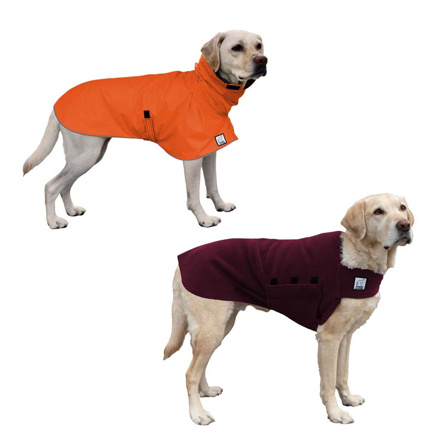 Labrador Retriever Camper Bundle