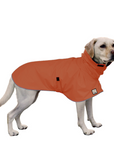 Labrador Retriever Raincoat