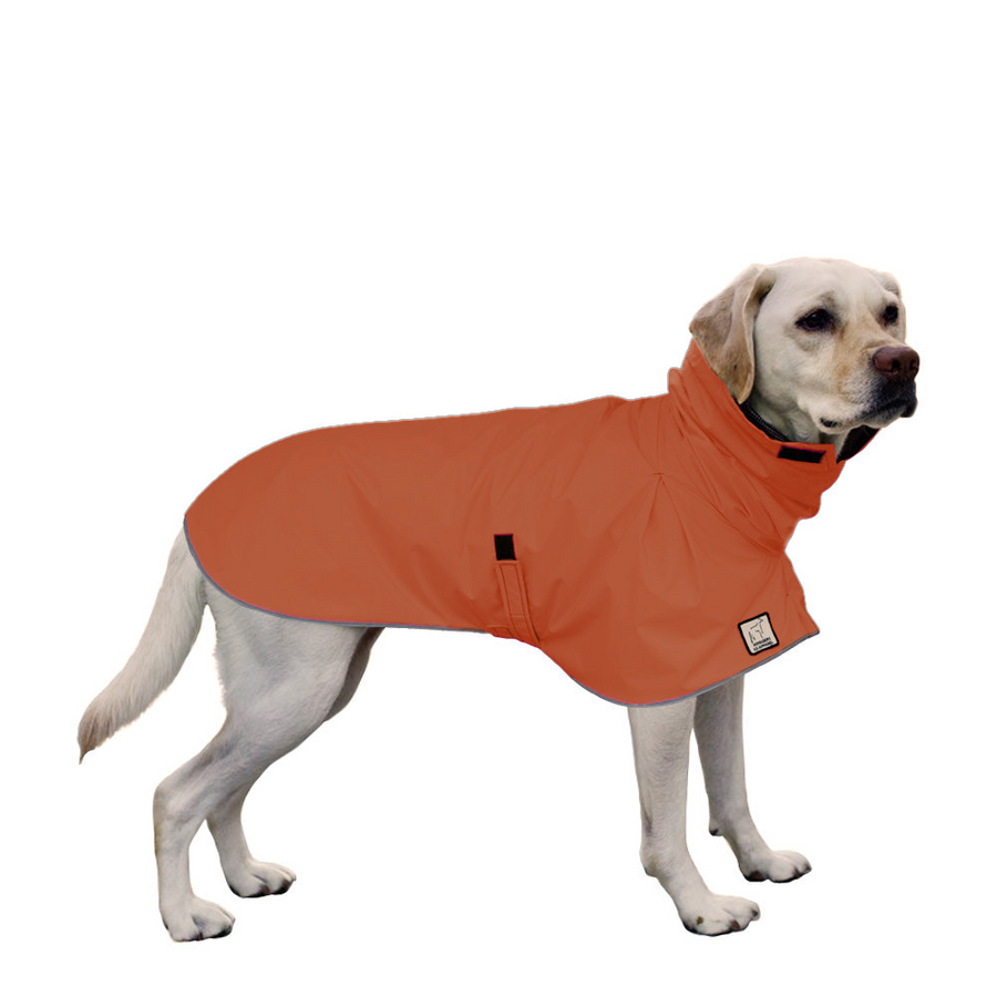 Labrador Retriever Raincoat