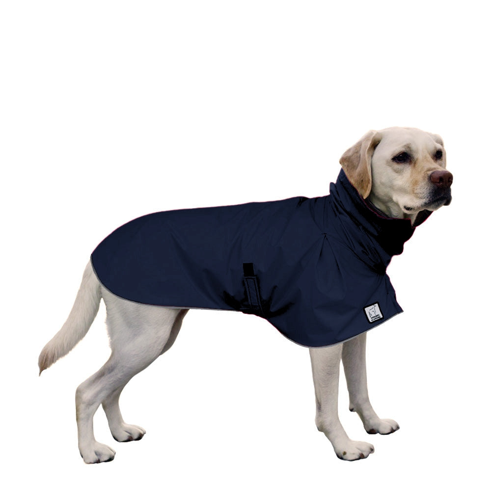Labrador Retriever Raincoat