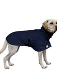 Labrador Retriever Raincoat