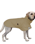 Labrador Retriever Raincoat