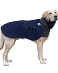 Labrador Retriever Winter Coat
