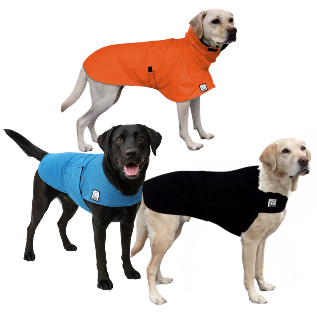 Labrador Retriever Nomad Bundle