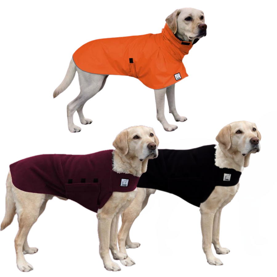 Labrador Retriever Wanderer Bundle