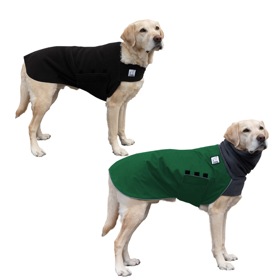 Labrador Retriever Rover Bundle