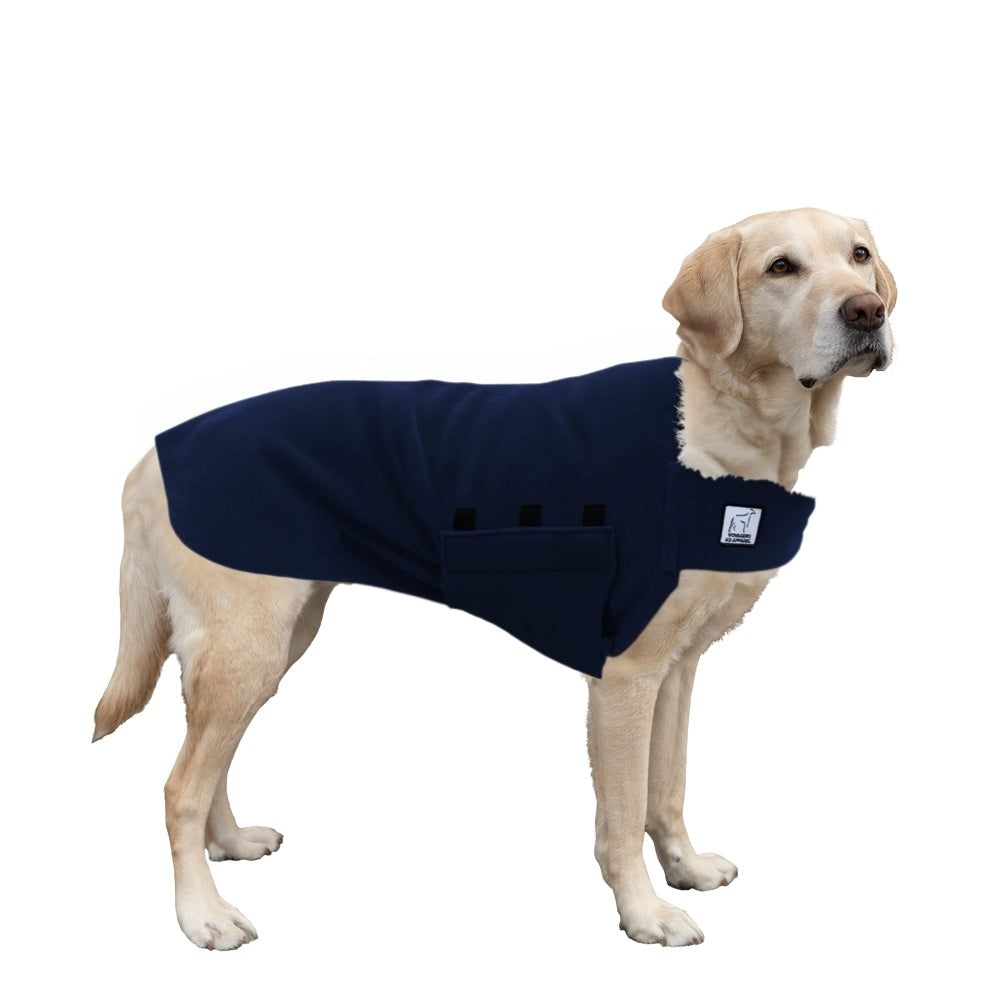 Labrador Retriever Tummy Warmer