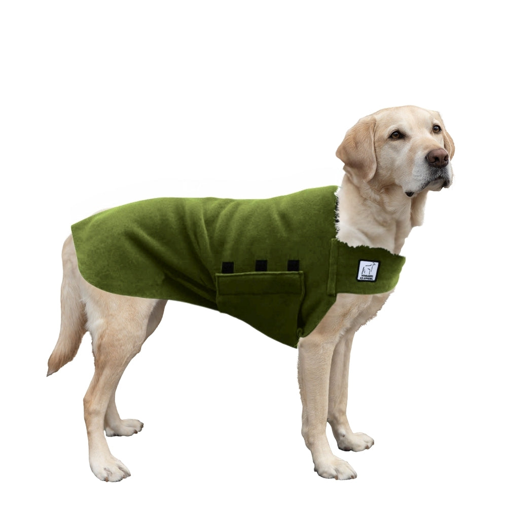 Labrador Retriever Tummy Warmer