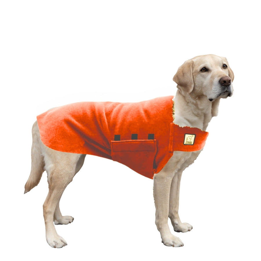 Labrador Retriever Tummy Warmer